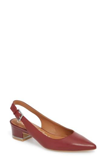 Women's Calvin Klein Glorianne Slingback Pointy Toe Pump M - Red