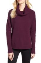Women's Caslon Cozy Rib Detail Relaxed Turtleneck - Purple