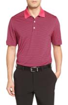 Men's Cutter & Buck 'trevor' Stripe Drytec Polo, Size - Pink