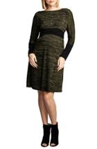 Women's Maternal America Empire Waist Nursing Dress - Green