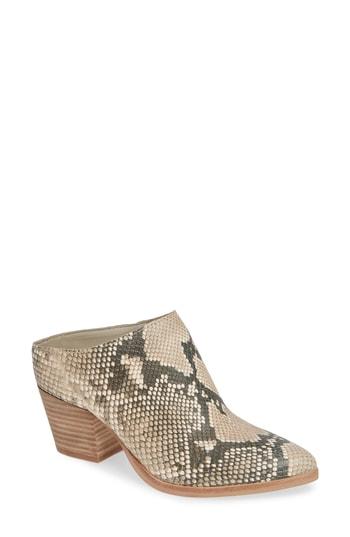 Women's Dolce Vita Roya Mule M - Grey