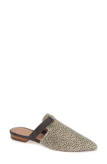Women's Caslon James Mule M - Beige