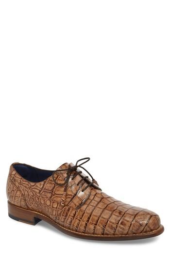 Men's Mezlan Hercules Plain Toe Derby M - Brown