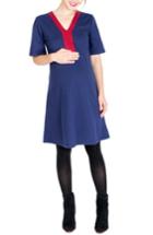 Women's Nom Maternity Birdie A-line Maternity Dress - Blue