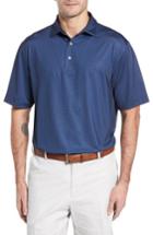 Men's Peter Millar Duchess Print Stretch Jersey Polo - Blue