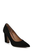 Women's Sarto By Franco Sarto Sasha Pointy Toe Pump .5 M - Black