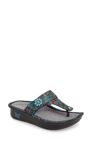 Women's Alegria 'carina' Sandal -8.5us / 38eu - Blue/green