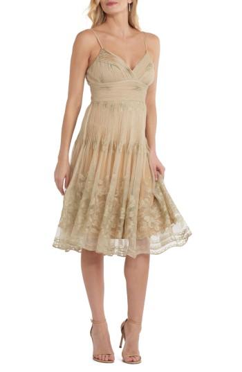 Women's Eci Pleat Bodice Mesh Dress - Metallic