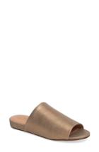 Women's Caslon Kiana Slide Sandal M - Metallic
