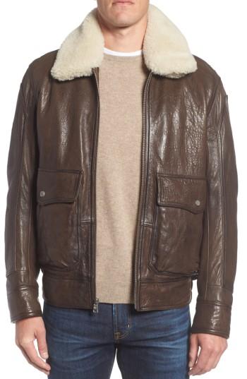 Men's Marc New York 3614 Leather Jacket With Genuine Lamb Shearling Collar - Brown