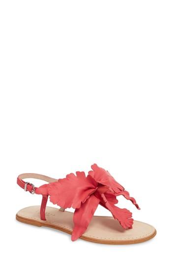 Women's Cecelia New York Peony Sandal M - Pink