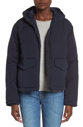 Women's Everlane The Short Puffer Jacket - Blue