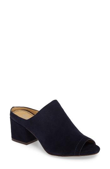 Women's Splendid Danica Slide Sandal M - Blue
