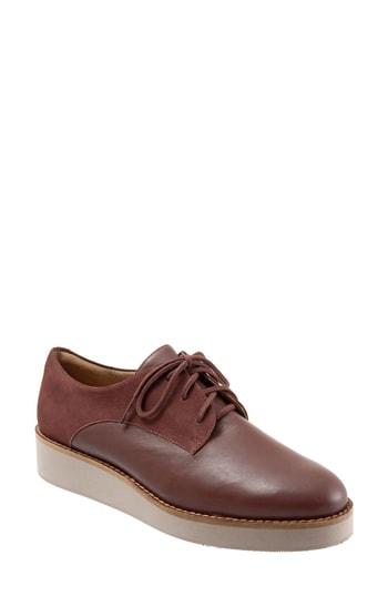 Women's Softwalk Willis Derby M - Brown