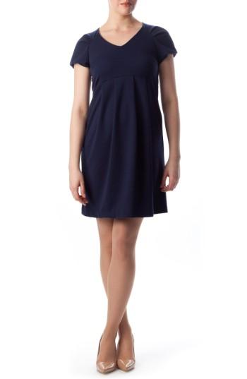 Women's Pietro Brunelli Central Park Maternity Dress - Blue
