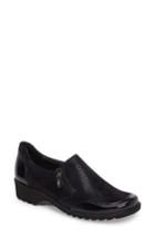 Women's Ara Athena Flat M - Blue
