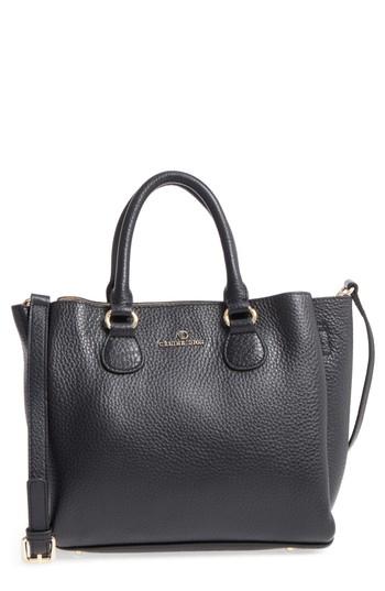 Celine Dion Small Adagio Leather Satchel -
