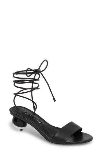 Women's Alice + Olivia Coraline Ankle Tie Sandal .5 M - Black