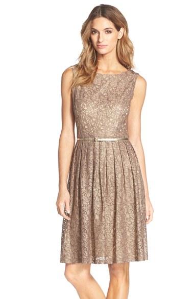 Women's Ellen Tracy Pleated Lace Fit & Flare Dress