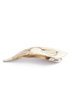 Ficcare Maximas Lotus Hair Clip - Ivory