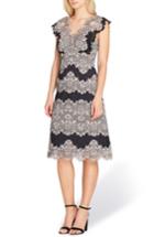 Women's Tahari Lace Midi Dress - Pink