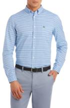 Men's Lacoste Slim Fit Gingham Sport Shirt