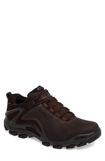 Men's Ecco Terra Evo Gtx Low Hiking Shoe -7.5us / 41eu - Brown