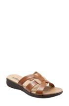 Women's Softwalk Thompson Slide Sandal N - Brown