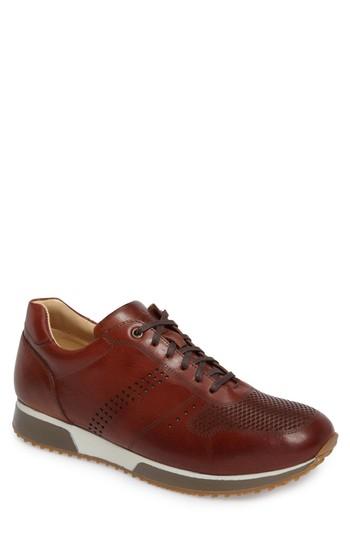 Men's Anatomic & Co. Classico Sneaker M Eu - Brown