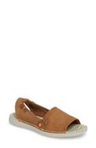 Women's Softinos By Fly London Tee Flat Sandal .5-6us / 36eu - Brown