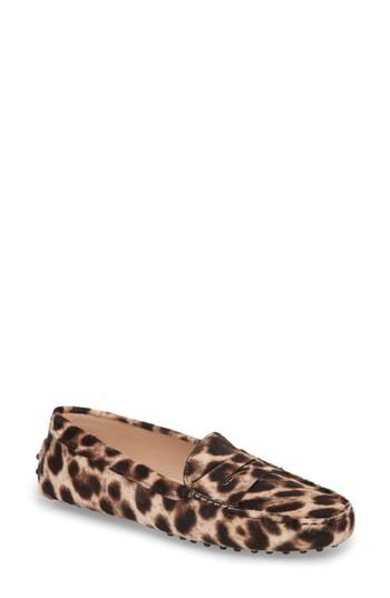 Women's Tod's Genuine Calf Hair Driving Loafer Us / 41eu - Brown