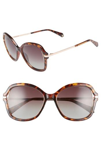 Women's Polaroid 55mm Cutout Round Polarized Sunglasses - Dark Havana