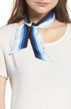 Women's Kate Spade New York Ombre Stripe Skinny Scarf, Size - Blue