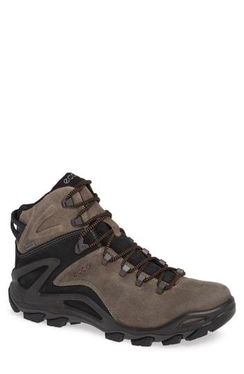 Men's Ecco Terra Evo Gtx Mid Hiking Boot -8.5us / 42eu - Brown