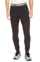 Men's Smartwool 250 Merino Wool Jogger Pants - Grey
