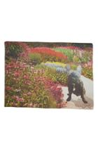 Women's Yigal Azrouel Garden Print Modal & Cashmere Scarf