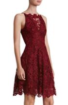 Women's Dress The Population 'hayden' Lace Fit & Flare Dress - Burgundy
