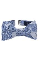 Men's Ted Baker London Downtown Paisley Silk Bow Tie