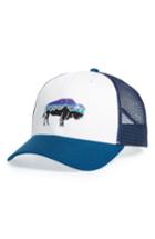 Men's Patagonia 'fitz Roy Bison' Trucker Hat - White