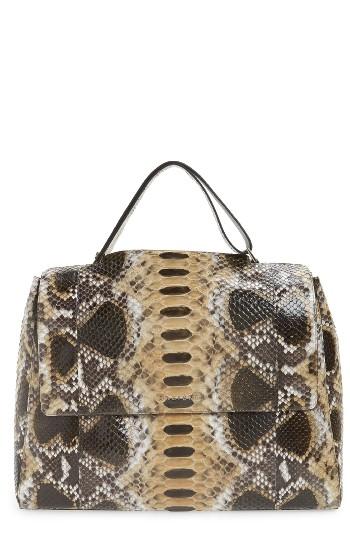 Orciani Large Naponos Genuine Python Tote - Brown