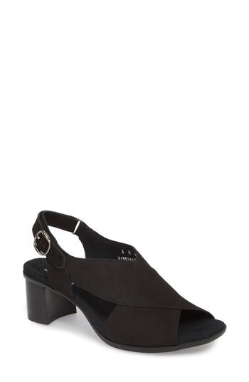 Women's Munro Laine Block Heel Sandal M - Brown