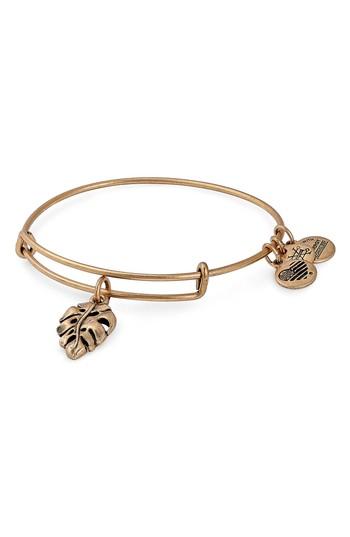 Women's Alex And Ani Palm Leaf Charm Bracelet