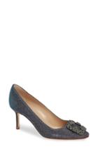 Women's Manolo Blahnik Hangisi Pump Us / 34eu - Blue