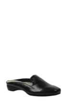 Women's J. Renee Chesir Mule