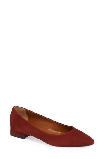 Women's Aquatalia Penina Flat M - Brown