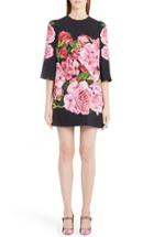 Women's Dolce & Gabbana Rose Print Cady Shift Dress