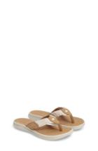 Women's Sperry Kids Seacove Slide Sandal