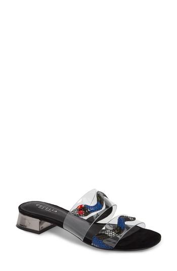 Women's Cecelia New York Danica Slide M - Blue