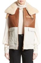 Women's Chloe Genuine Shearling Trim Leather & Cotton Vest Us / 36 Fr - Brown