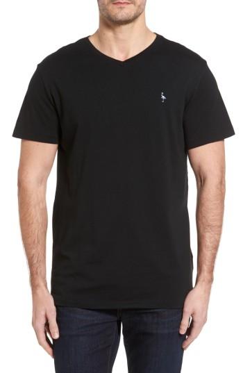 Men's Tailorbyrd V-neck T-shirt